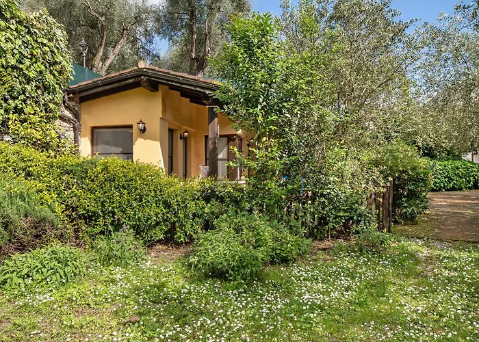 Il Giardino Del Sole, Salvia * Garlenda