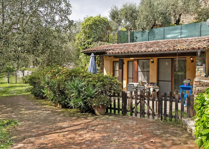 Il Giardino Del Sole, Salvia